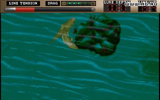 TNN Outdoors Bass Tournament '96 TNN Outdoors Bass Tournament '96