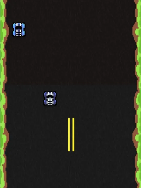 Fast Track Racer Fast Track Racer