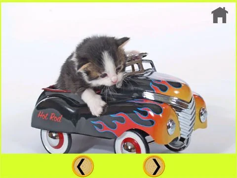 Рецензии cats and games for kids - free game