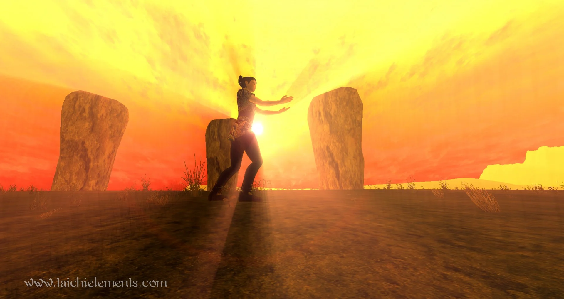 Tai Chi Elements Tai Chi Elements