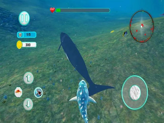 Shark Attack Evolution 3D