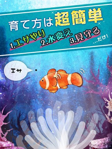 Рецензии Clownfish Aquarium
