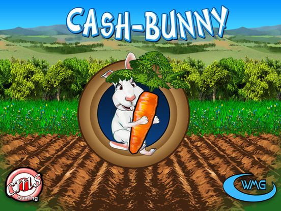 Cash Bunny Cash Bunny