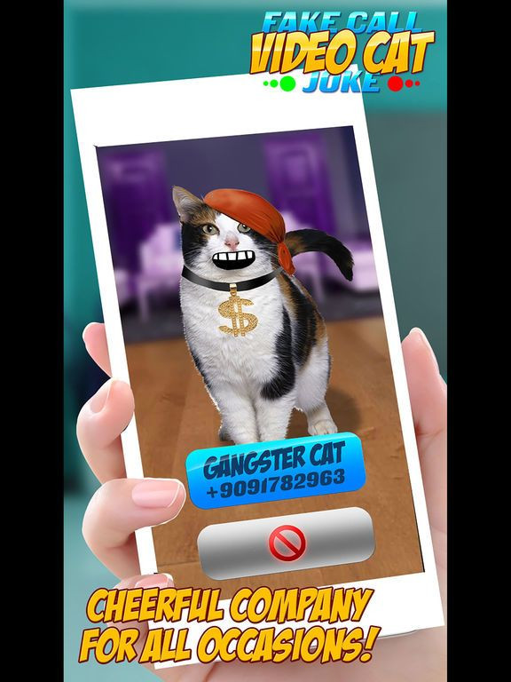 Fake Call Video Cat Joke