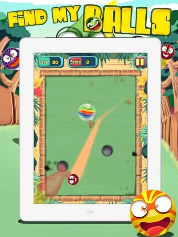 Find My Balls
