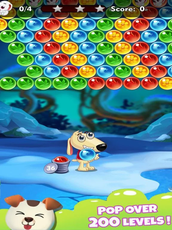 Dog Bubble Dog Bubble