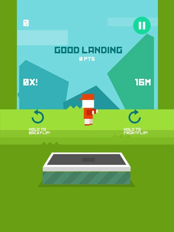 Flips! Flips!