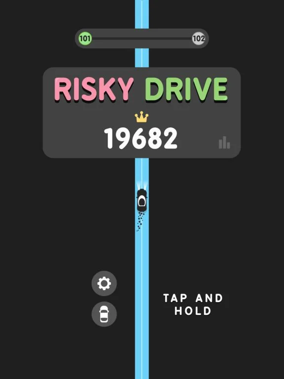 Risky Drive Risky Drive