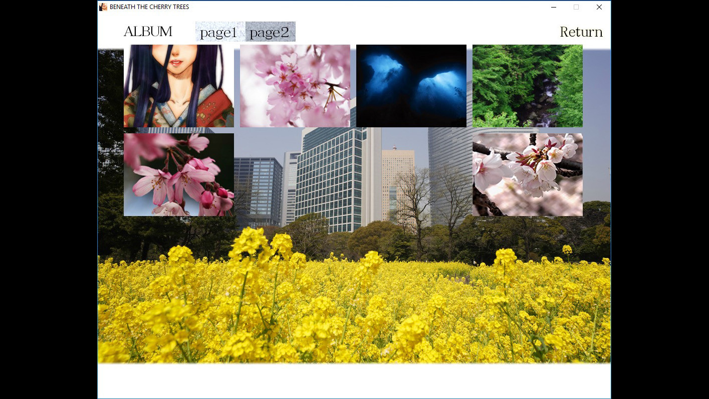 Beneath The Cherry Trees / 桜の樹の下には