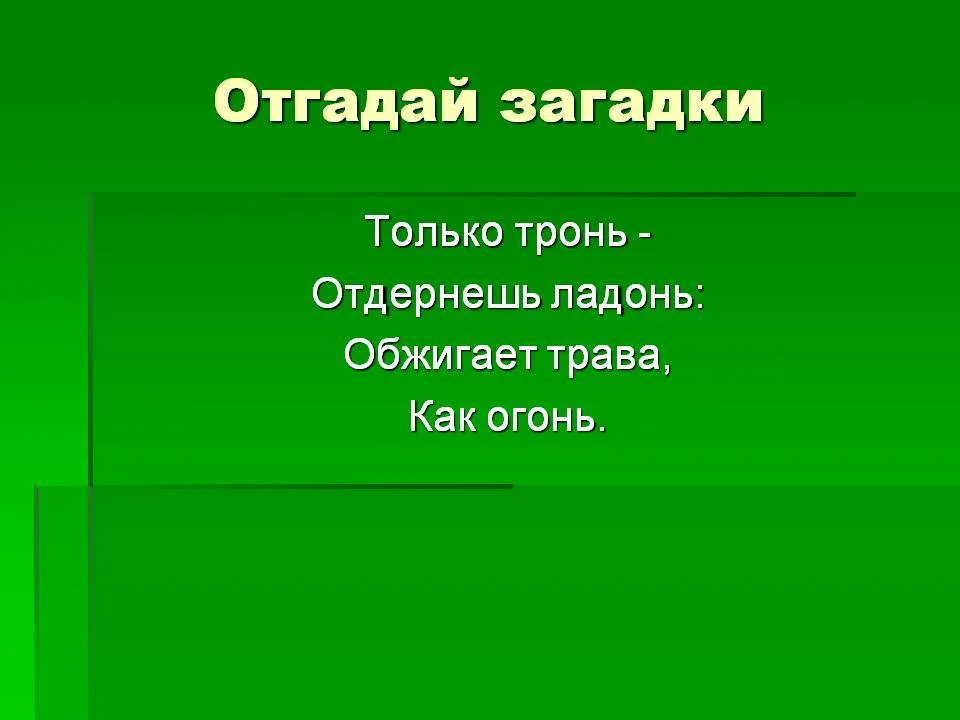 ОТГАДАЙКА +6 (itch) ОТГАДАЙКА +6 (itch)