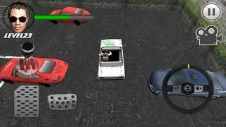 Crazy Parking Car King 3D Crazy Parking Car King 3D