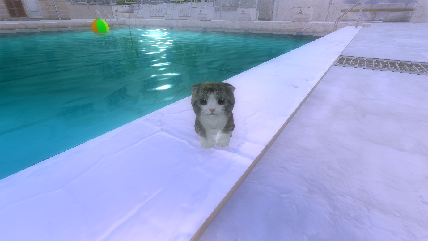 Kitten Super Adventure Kitten Super Adventure