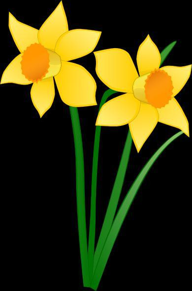i'll still pick flowers (itch)