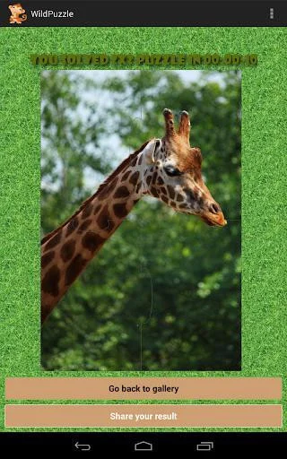 Wild Animal Puzzle Free Wild Animal Puzzle Free