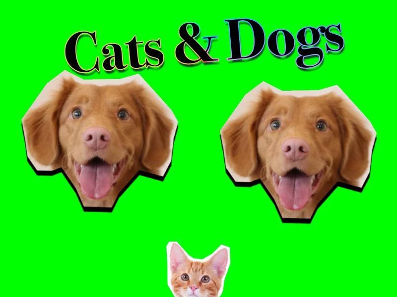 Cats and Dogs (itch) Cats and Dogs (itch)