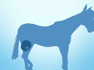 My Riding Stables 3D - Jumping for the Team My Riding Stables 3D - Jumping for the Team