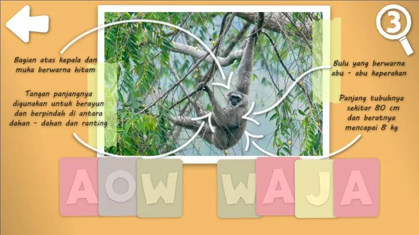 NEBAK GAMBAR: Fauna Indonesia (nebak) (itch)