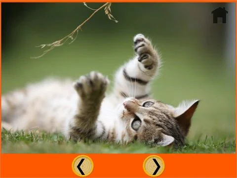 irrestible cats for kids - free irrestible cats for kids - free