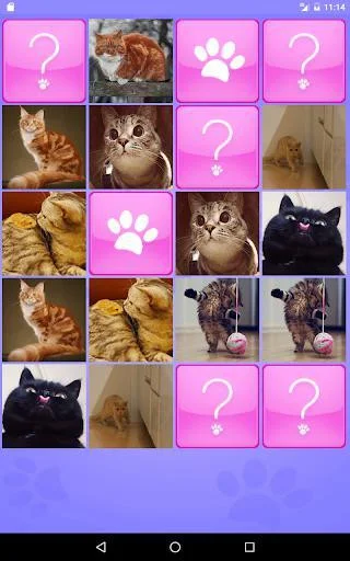 CUTE CATS Memory matching Game CUTE CATS Memory matching Game