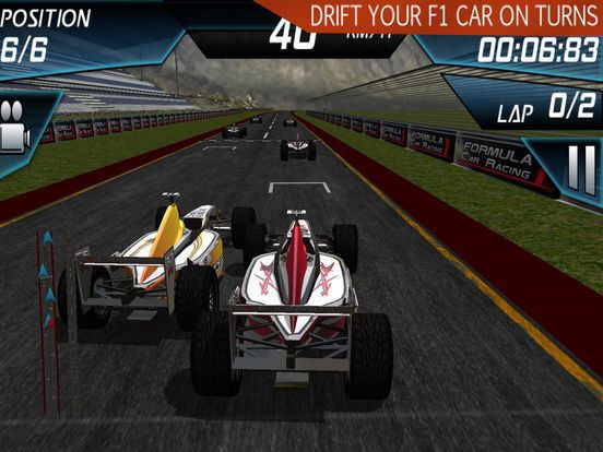 Racing in Formula Car Racing in Formula Car