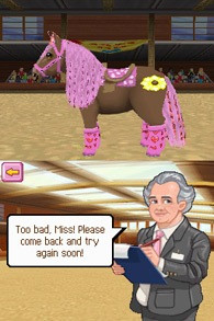 Petz Pony Beauty Pageant