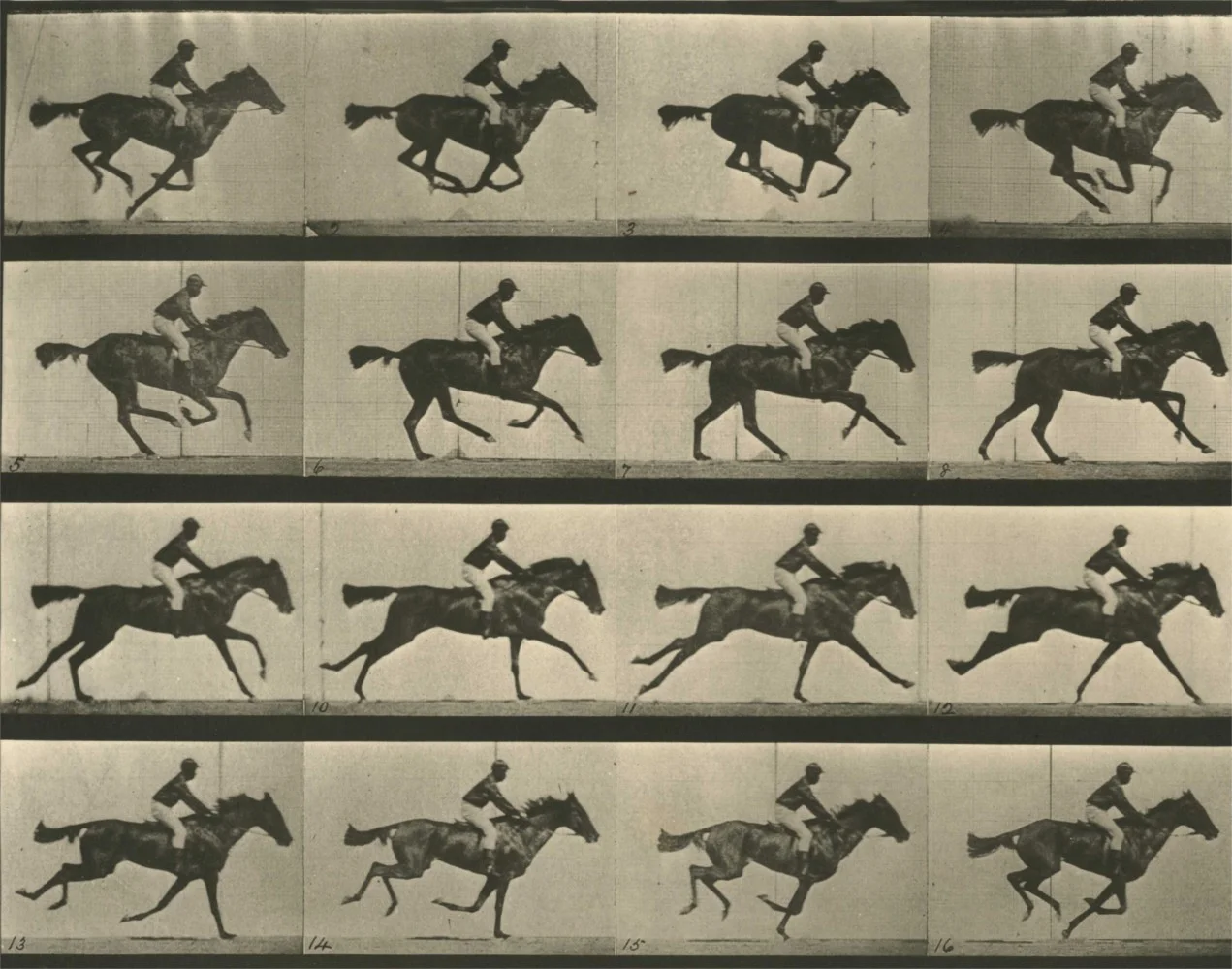 Run Muybridge, run! (itch) Run Muybridge, run! (itch)