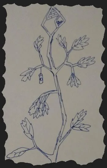Overoptimistic plant takes care of you (itch)