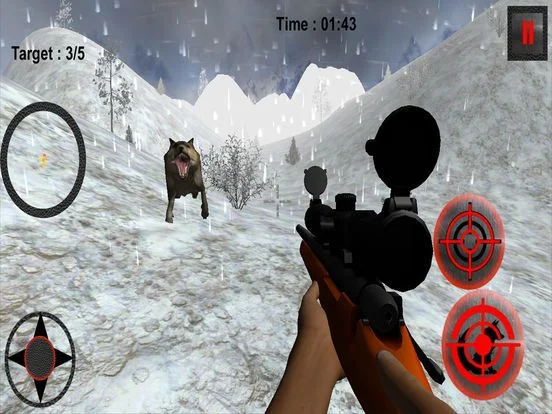 Wild Animal Hunting Wolf Shoot Wild Animal Hunting Wolf Shoot