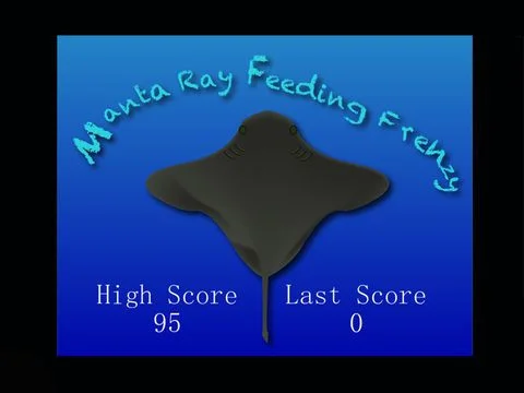 Manta Ray Feeding Frenzy Manta Ray Feeding Frenzy