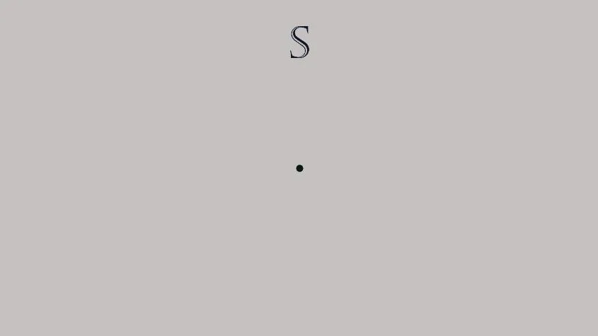 S - The Game (itch)