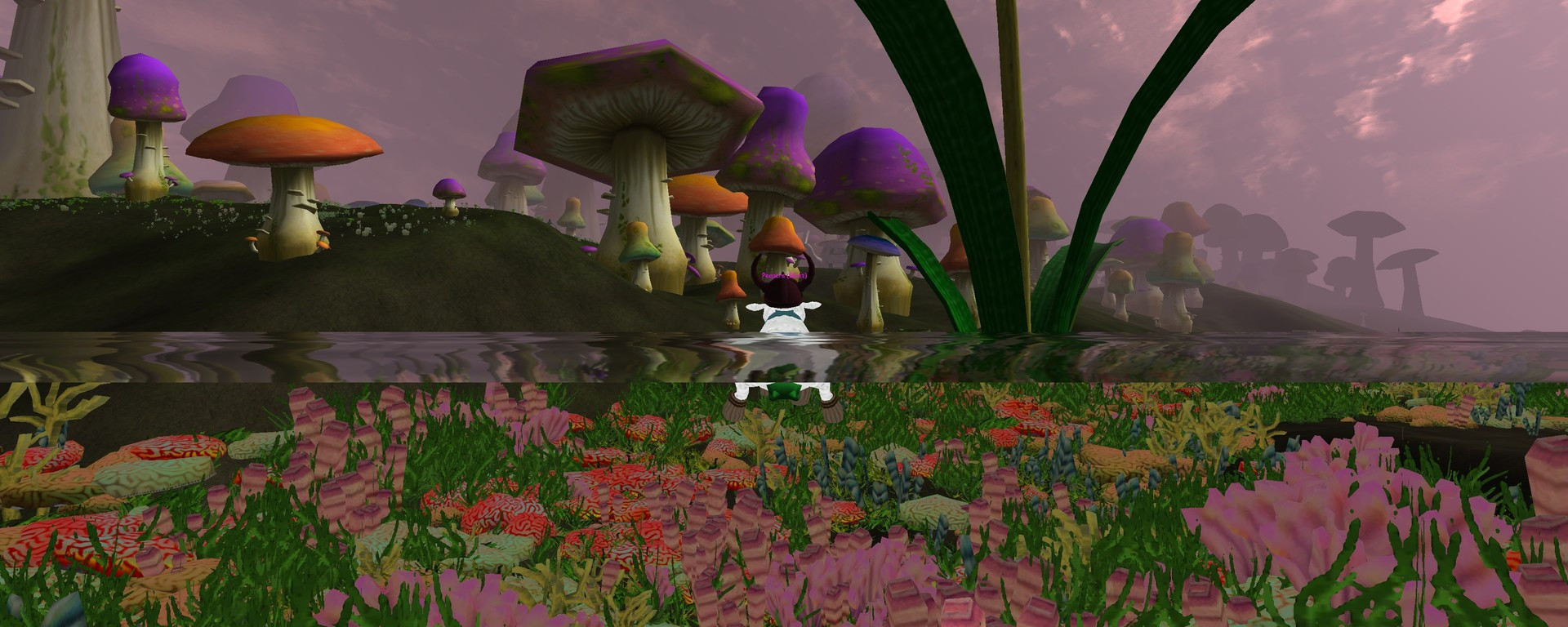 Secondhand Lands