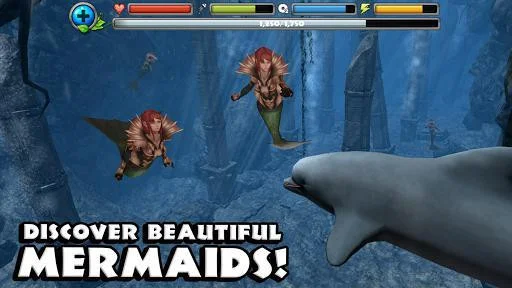 Dolphin Simulator Dolphin Simulator