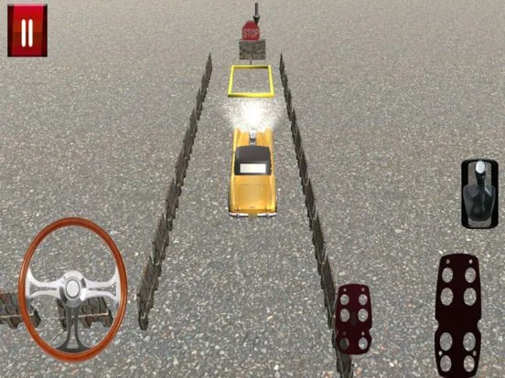 Crazy Car Driver Sim Crazy Car Driver Sim