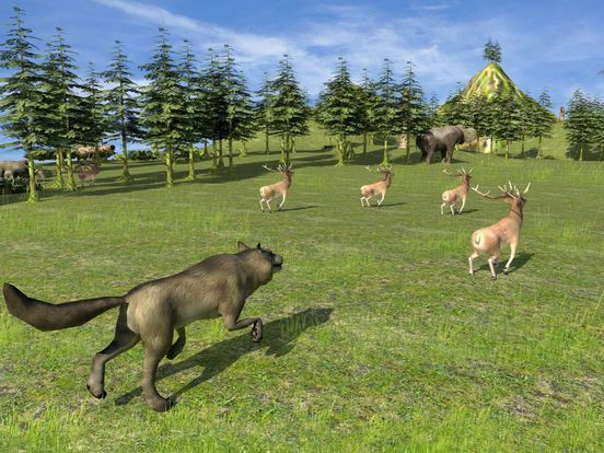 Forest Wild Life Simulator 3D Forest Wild Life Simulator 3D