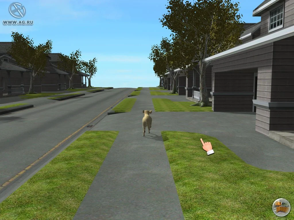 Fetch! Fetch!