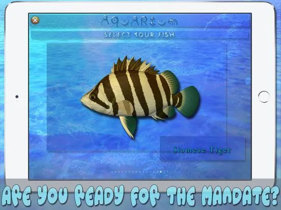 Farm Aquarium HD Farm Aquarium HD