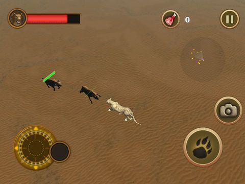 Новости о Cheetah Chase
