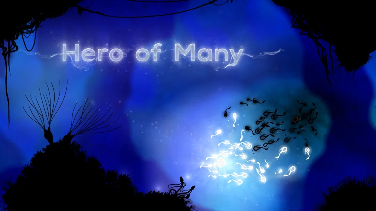 Hero of Many Hero of Many
