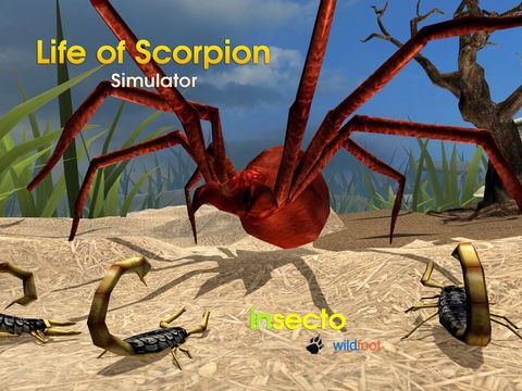 Life Of Scorpion Life Of Scorpion
