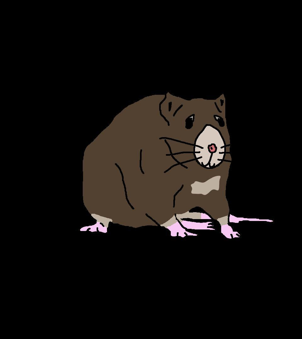 Ratthew The Bastard (itch) Ratthew The Bastard (itch)