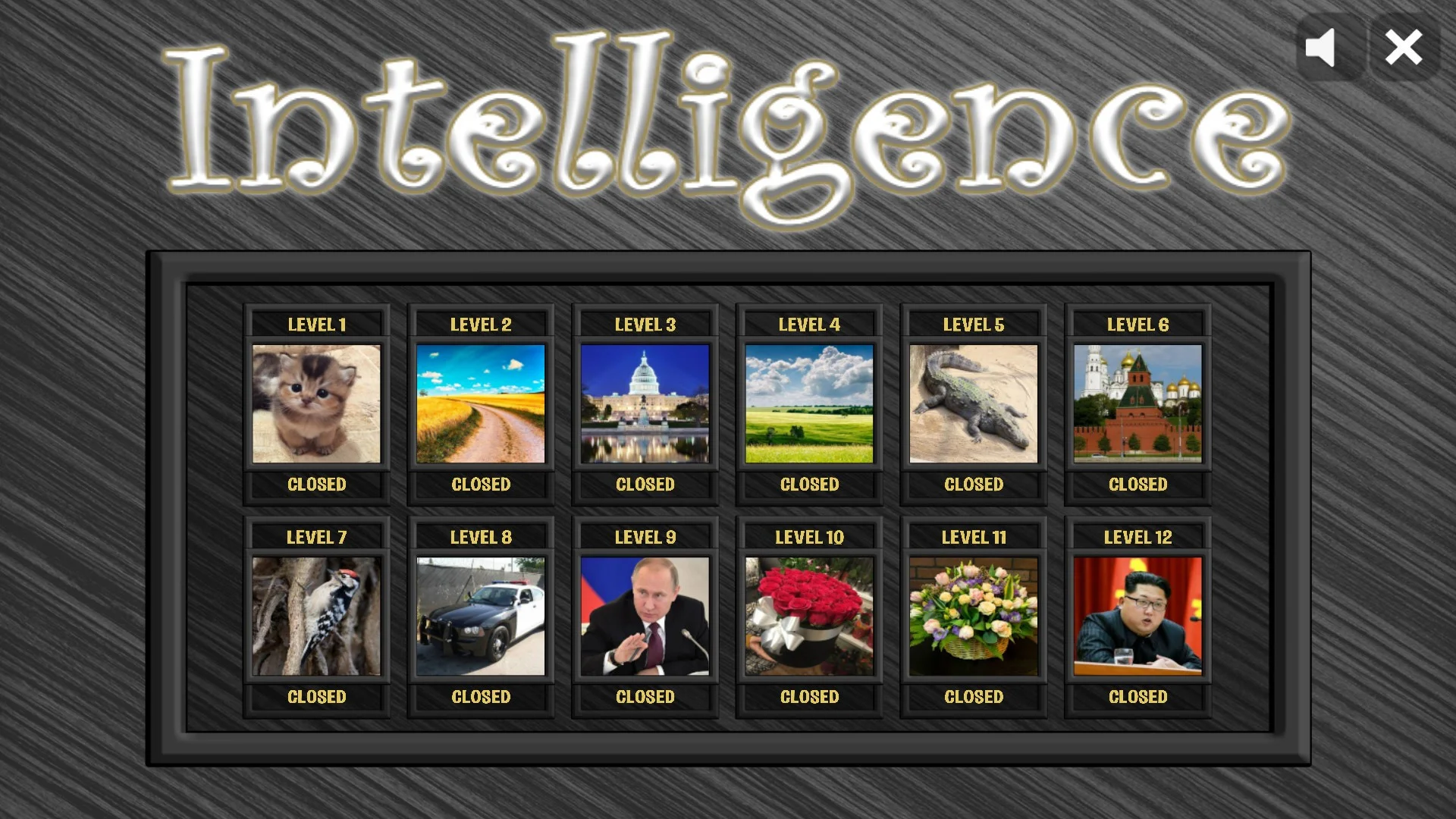 Intelligence