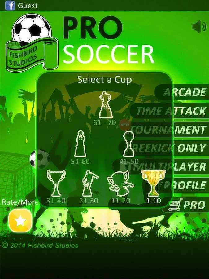 Professional Soccer