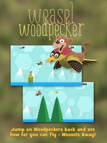 Weasel Woodpecker
