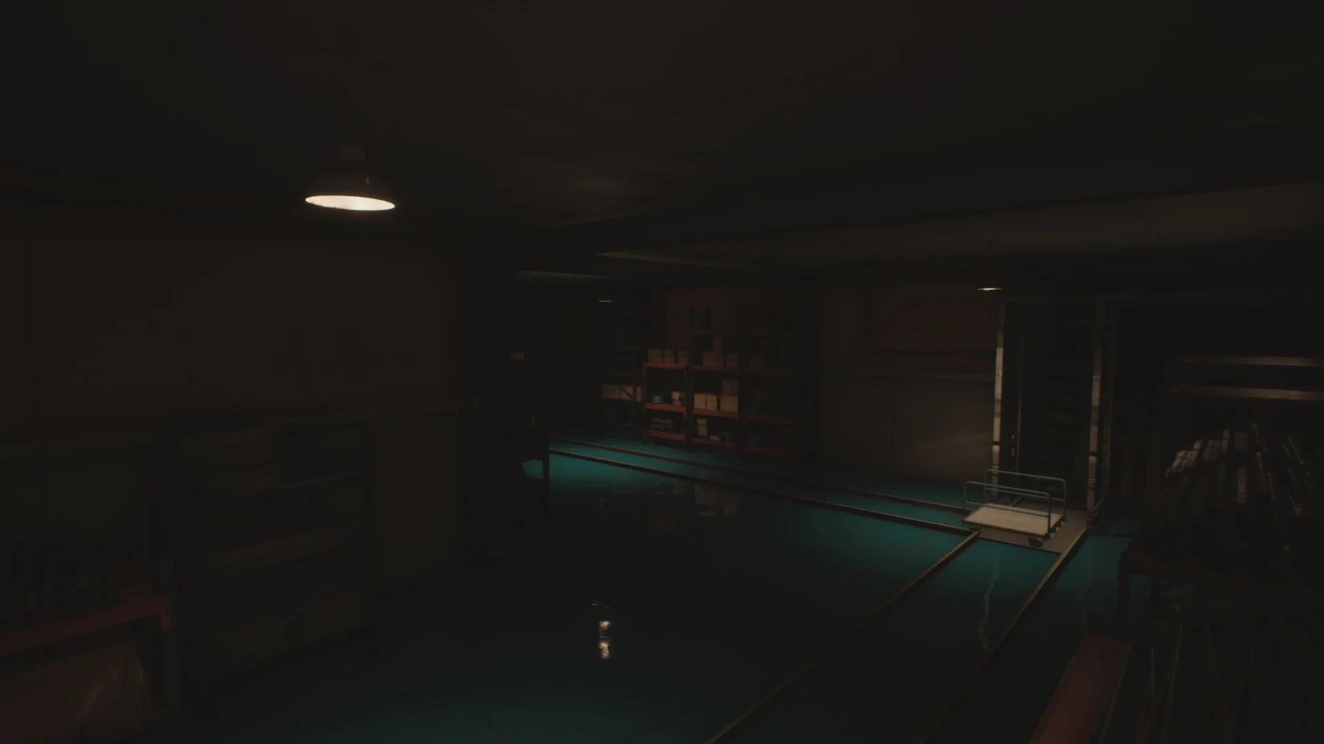 Light The Way
