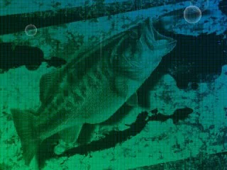 Angler's Club: Ultimate Bass Fishing 3D Angler's Club: Ultimate Bass Fishing 3D