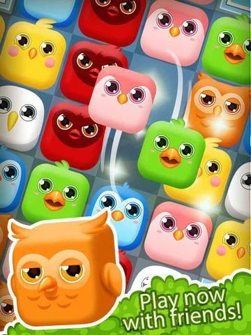 Bird Bird Match Bird Bird Match