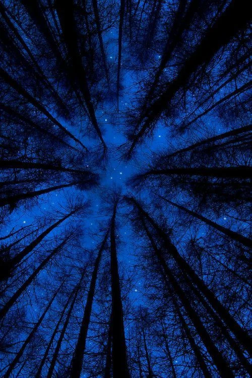Have you ever seen a view like this before? (itch) Have you ever seen a view like this before? (itch)
