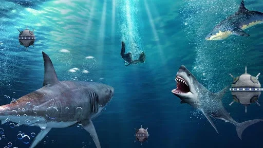 Shark Shark Run Shark Shark Run