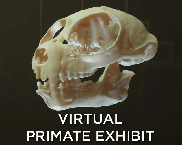 Virtual Primate Exhibit (itch)