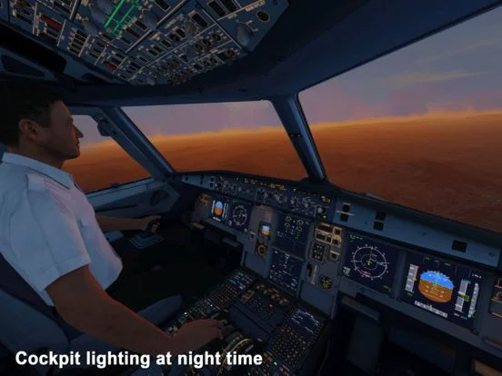 Aerofly FS 2019 Aerofly FS 2019